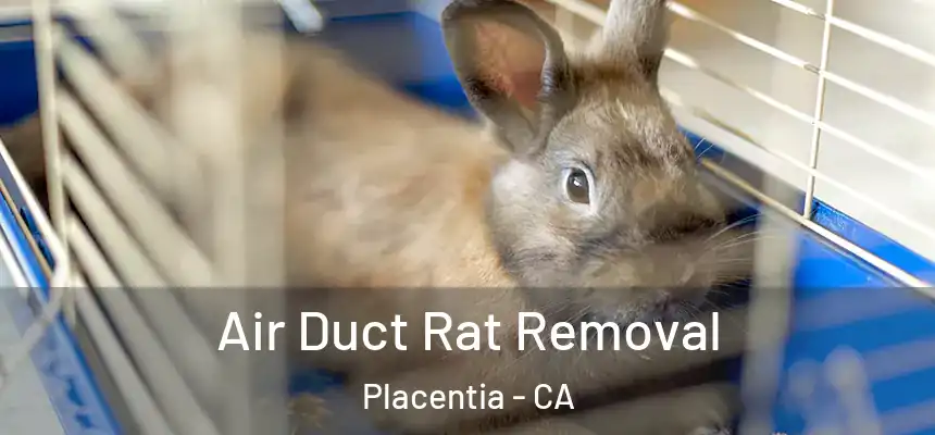 Air Duct Rat Removal Placentia - CA