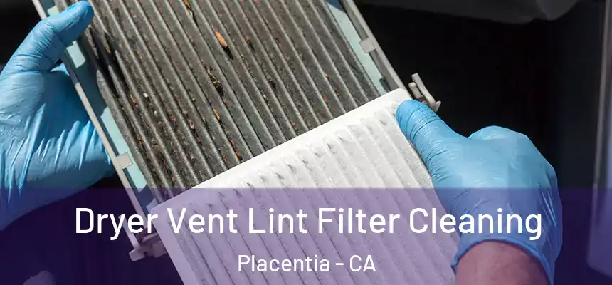  Dryer Vent Lint Filter Cleaning Placentia - CA