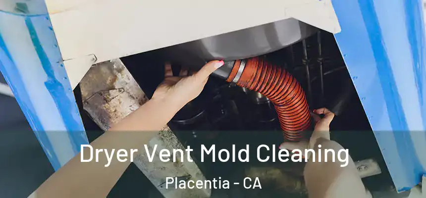 Dryer Vent Mold Cleaning Placentia - CA