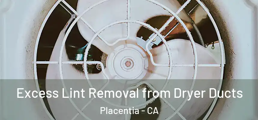 Excess Lint Removal from Dryer Ducts Placentia - CA
