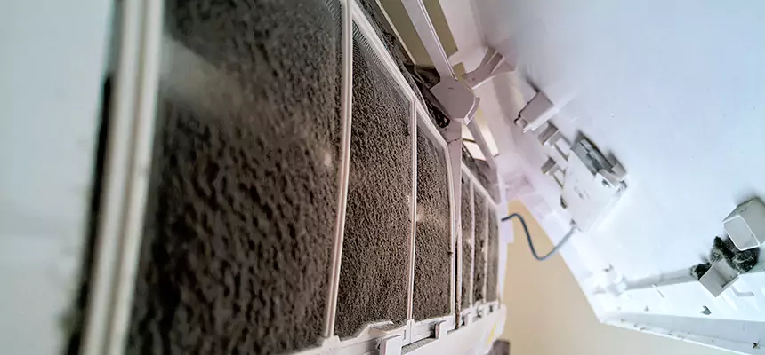 Preventive Air Duct Bacteria Removal in Placentia