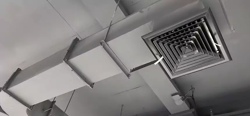 Restorative Allergy Relief Vent Cleaning – Coil, Blower & Housing Detail in Placentia