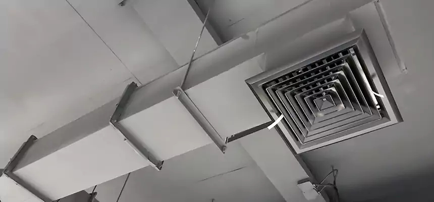 Our Rodent Droppings In Vents Services in Placentia, CA