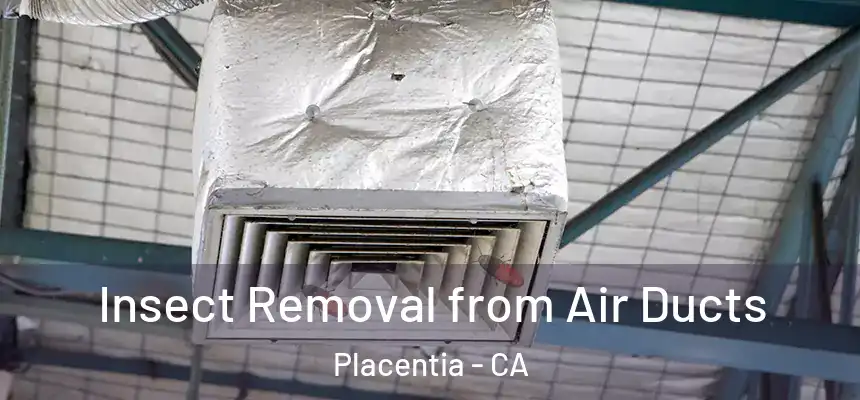  Insect Removal from Air Ducts Placentia - CA