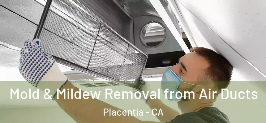  Mold & Mildew Removal from Air Ducts Placentia - CA