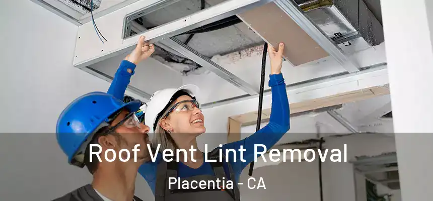  Roof Vent Lint Removal Placentia - CA