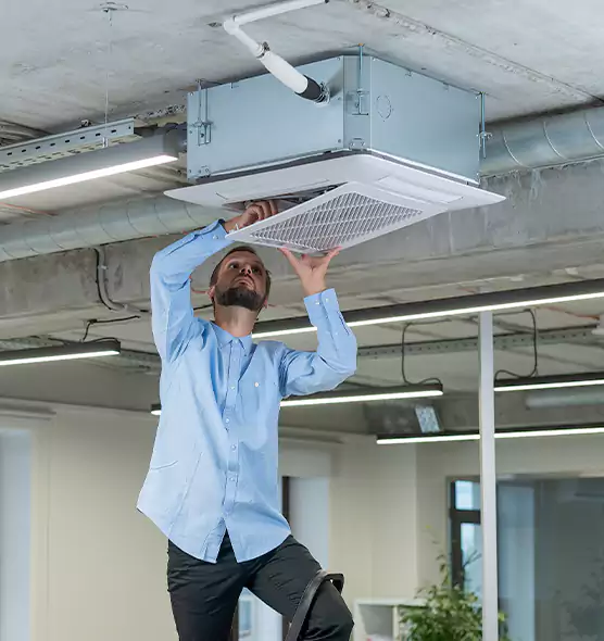 Advanced Rodent Droppings In Vents in Placentia, CA