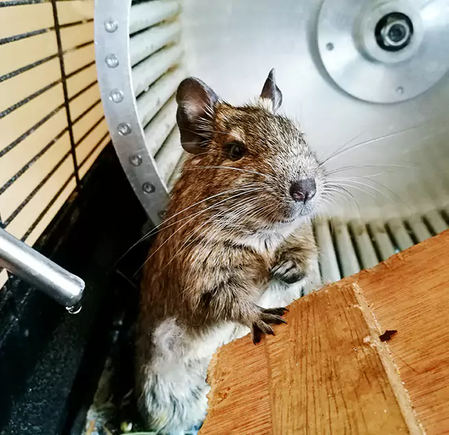 Why Homeowners & Businesses Trust Us Placentia, CA