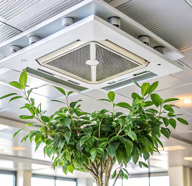 Why Homeowners & Businesses Trust Us in Placentia, CA